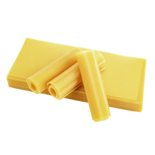 中蜂巢础蜂蜡巢基巢脾30片装蜜蜂巢纸蜂群繁殖专用蜂具养蜂工具