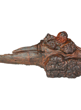 随形雕刻缅花树瘤人物木雕摆件