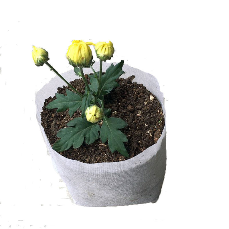 无纺布育苗袋营养袋植树袋一次性加厚种植可降解容器袋可定制