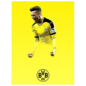 德国球星多特蒙德罗伊斯勒沃库森巴拉克房间挂画壁画无框装饰画