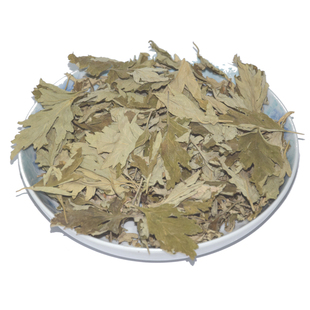 端午泡茶艾叶可食用艾叶草艾草艾叶饮用艾草叶煮鸡蛋熏蒸好艾叶