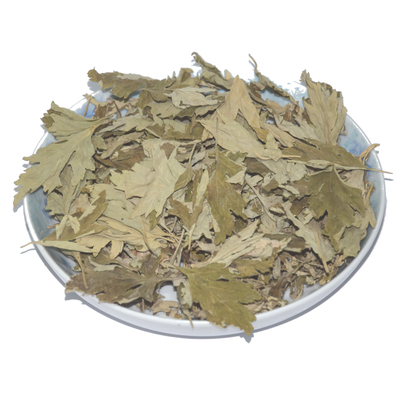 端午泡茶艾叶可食用艾叶草艾草艾叶饮用艾草叶煮鸡蛋熏蒸好艾叶