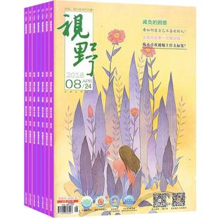 视野杂志订阅 2026年7月起订 1年共24期 18-35岁青年群体为主 生动活泼 引人入胜 综合性文摘期刊 文学文摘期刊杂志 杂志铺