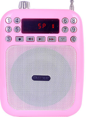 带蓝牙带录音便携式扩音器