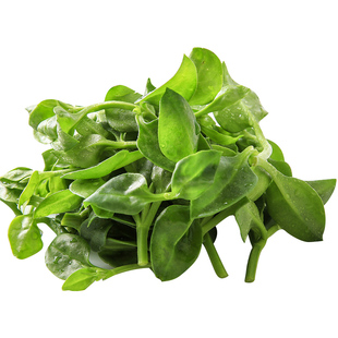 旭耕 有机田七250g 净菜新鲜蔬菜田七叶穿心莲养心菜金香草轻食餐