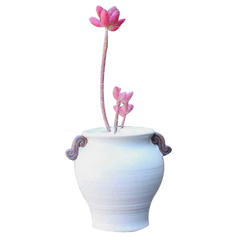 小号简约花盆陶瓷桌面景观