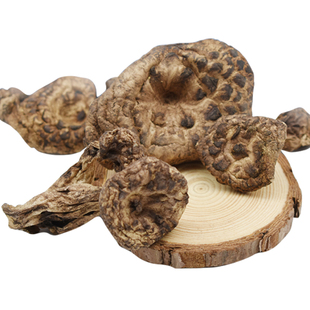 甘孜高原特产2025獐子菌干货黑虎掌蘑菇菌炖鸡煲汤100克包邮