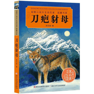 刀疤豺母 沈石溪动物小说品藏书系 6-10-12岁中国儿童文学书籍 动物小说大王沈石溪著小学生课外书 四五六小学生课外阅读书籍