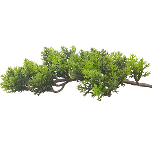 柏树仿真绿植假松柏树植物柏树枝叶假刺柏塔柏龙柏装饰塑料盆栽花