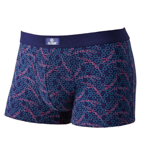 2条装 男士内裤纯棉男平角裤弹力棉青年四角裤头秋冬季全棉短裤衩