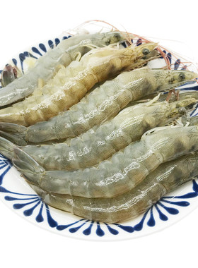海捕大虾烟台新鲜鲜活海虾超大