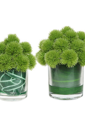 小绿植仿真绿色葱球茶几桌花