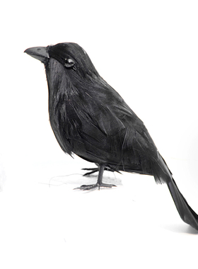 鬼节派对话剧电影拍摄羽毛鸟道具