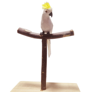鹦鹉爬梯站架八哥互动立式架子鸟类站杆玩具苹果木大型鸟儿磨喙玩