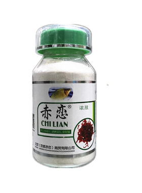 红虫伴侣拉红虫赤恋京威