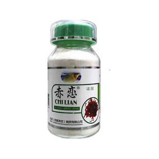 京威赤恋红虫伴侣浓香浓腥味红虫胶粘粉冬季野钓拉饵活饵赤练鱼饵