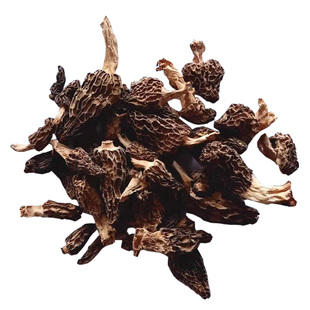 甘南藏区特产高原野生羊肚菌干货50g美味菌食用菌煲狼肚菌