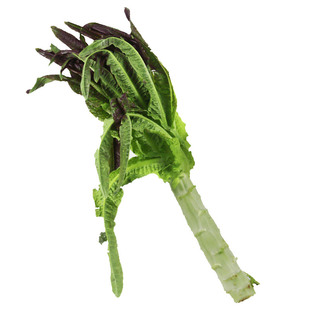 密农人家 密云现砍紫叶香笋400g 青莴笋叶可食用 新鲜蔬菜