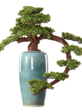 新中式风别墅绿植枯木盆栽迎客松