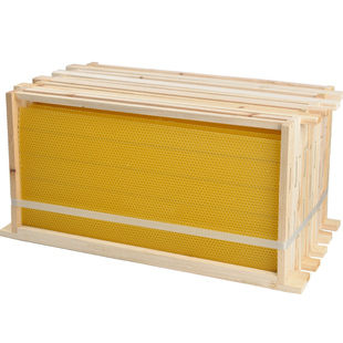巢框中蜂成品标准意蜂杉木带框巢础蜂箱蜜蜂专用蜂具养蜂蜂大哥