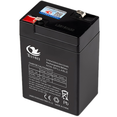 儿童车三轮电动摩托七星瓢虫玩具车蓄电池电瓶充电器专用通配件6V