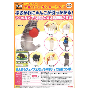 茶猫屋动漫周边KITAN CLUB PUTITTO系列杯边小手办胖喵喵扭蛋现货