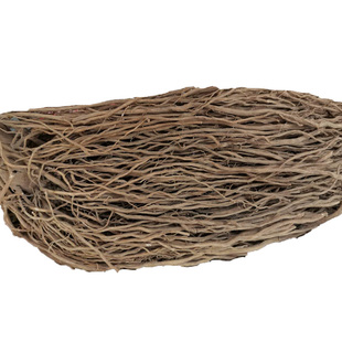 土牛膝根 六月雪根 大泽兰 多须公 土牛七中药材500克