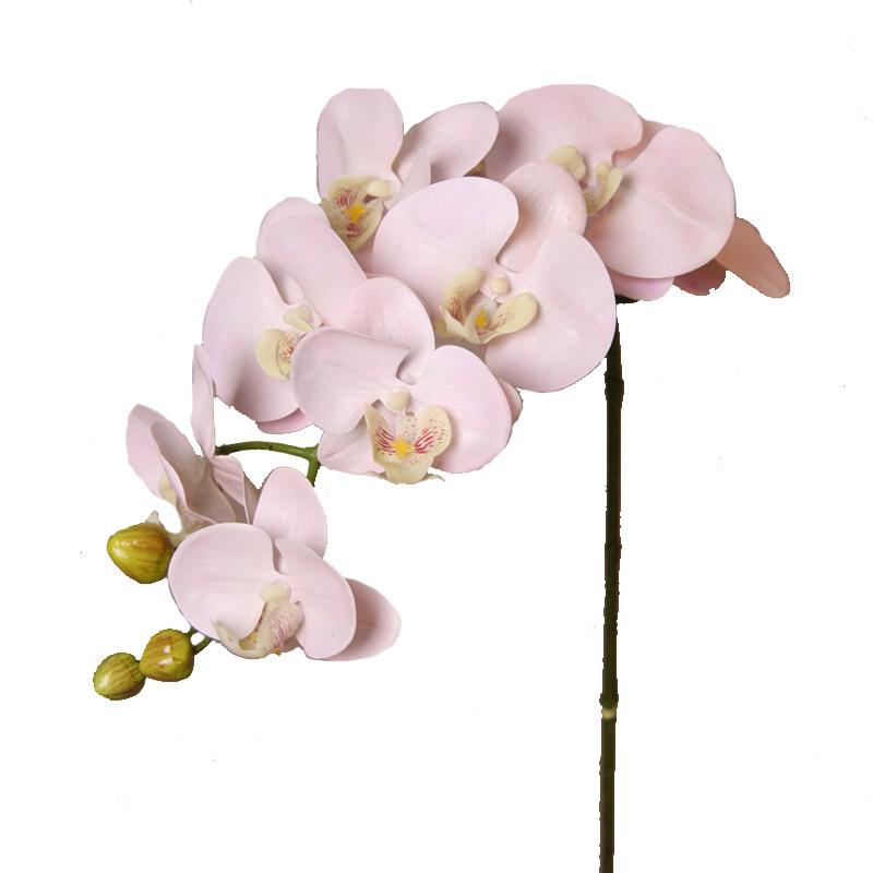 仿真花蝴蝶兰pu手感饰兰花单支