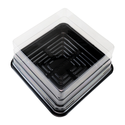 包邮古早蛋糕包装盒方形乳酸君蛋