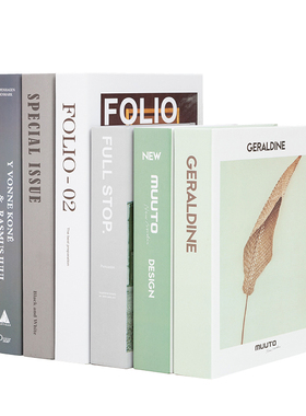 简约现代风样板间拍照道具仿真书