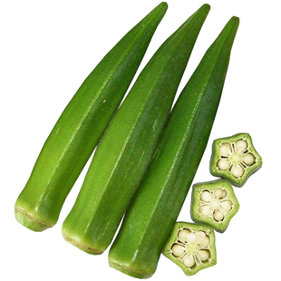 黄绿秋葵种子种籽羊角生吃菜籽蔬菜种籽孑农家庭院菜园盆栽四季播