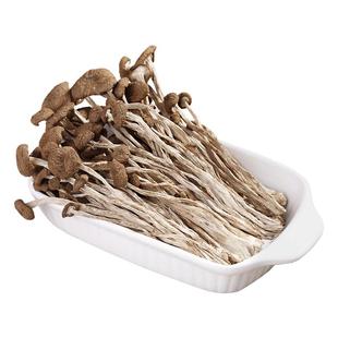 灶前故事茶树菇干货250g不开伞不开膜农家自种茶薪菇无硫广昌特产