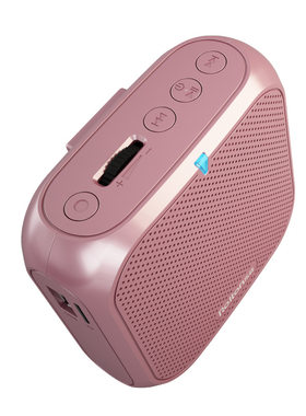乐廷迷你耳麦导游便携扩音器