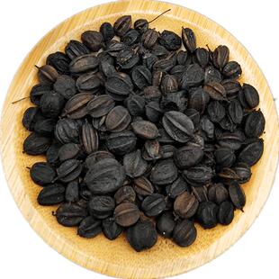 长白山野生刺五加果实刺五加籽子种片刺五加茶新货颗粒晚安茶500g