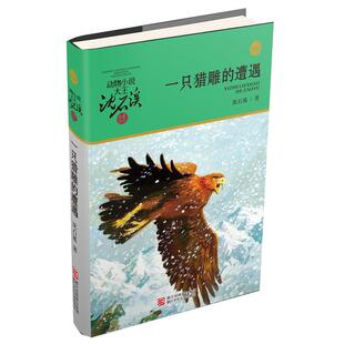 一只猎雕的遭遇(升级版)/动物小说大王沈石溪品藏书系 青少年课外启发读物 9-10-11-12岁三四五六年级儿童文学 浙江少年儿童出版社
