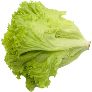 新鲜青菜 蔬菜绿罗莎 绿叶生菜 罗沙绿生菜 西餐配料蔬菜沙拉500g