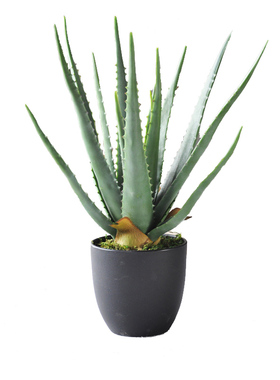 仿真植物装饰品芦荟植物