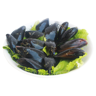 海鲜鲜活淡菜新鲜大海虹海捕贻贝大青口贝贝类烧烤连云港水产包邮