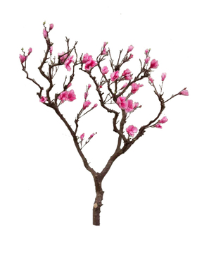 上海仿真橱窗室内造型盆景玉兰花