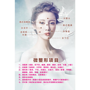 中医养生人体结构中医馆理疗写真海报kt版挂画宣传挂图978