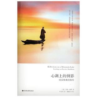心湖上的倒影 (英)丹津·葩默 著 叶文可 译 心灵与修养社科 新华书店正版图书籍 深圳报业集团出版社