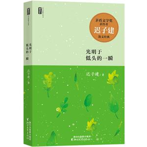 光明于低头的一瞬/迟子建散文系列/迟子建 散文随笔/浙江文艺出版社 正版书/中国现当代文学