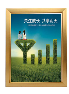 铝合金画框相框架挂墙定做海报框