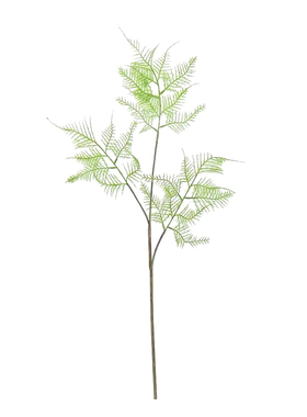 仿真绿植文竹干枝客厅四季常青