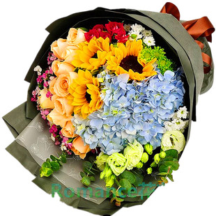 天津鲜花束情人节同城速递向日葵桔梗雏菊送男士爱人长辈生日表白