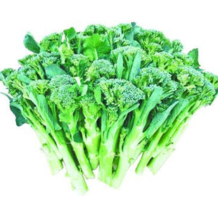 西兰苔种子四季种籽西兰花适合冬天种的菜苗阳台苗冬季蔬菜孑秧苗