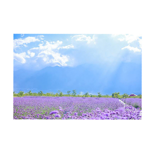 洗照片签证照出国照1寸2寸开学报名证件照大头照结婚幼儿园工作照