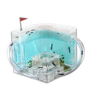 蚂蚁工坊家园蚂蚁生态箱盒城堡蚂蚁窝巢观察宠物蚂蚁活体繁殖蚁后