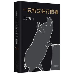 【官方直营】一只特立独行的猪 王小波 沉默的大多数黄金时代 王小波精品集现当代文学散文随笔读物杂文集
