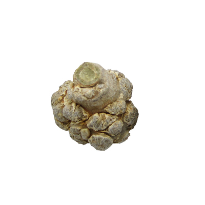 精选特级正品云南文山三七田七